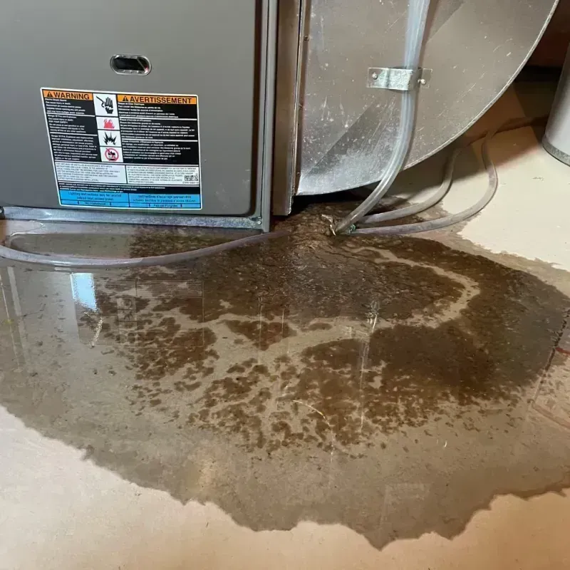 Appliance Leak Cleanup in Granby, CO